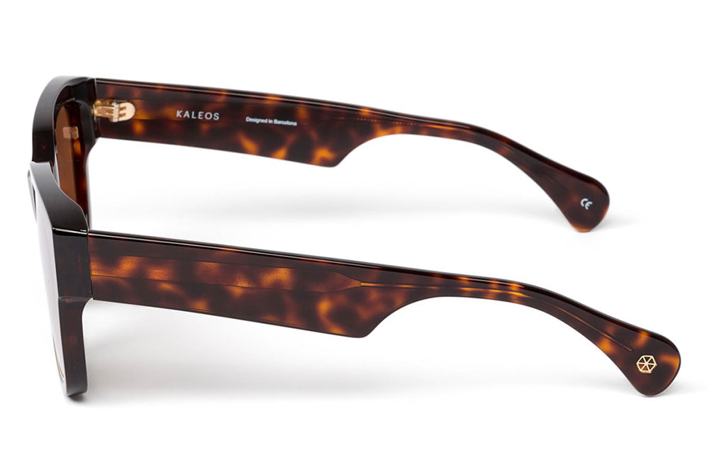 Kaleos Eyehunters - Wilson Sunglasses Dark Garnet