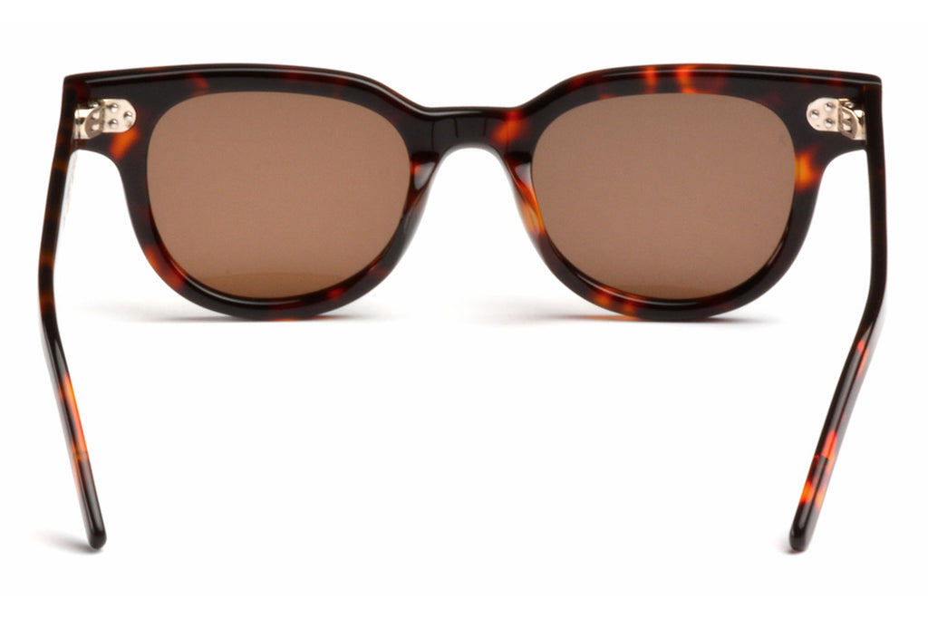 AKILA® Eyewear - Legacy Sunglasses Tortoise w/ Dark Brown Lenses