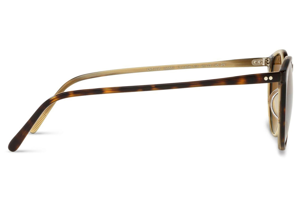 Oliver Peoples - O Malley (OV5183S) Sunglasses 362-Horn with Brown Lenses