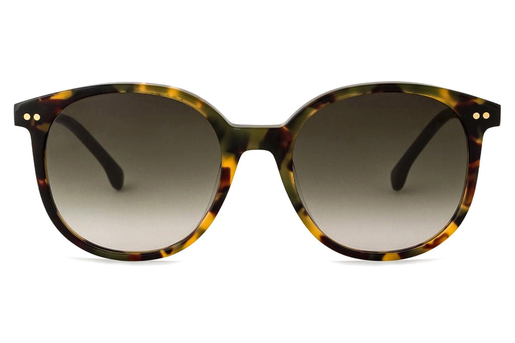 Paul Smith - Finch Sunglasses Havana/Khaki
