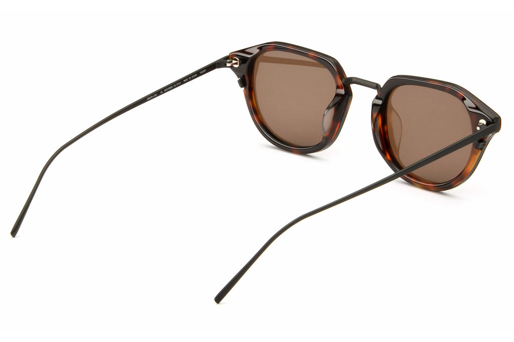 AKILA® Eyewear - Theory Sunglasses Tortoise w/ Brown Lenses