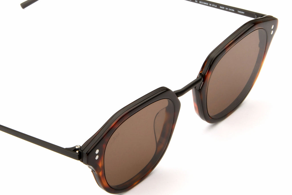 AKILA® Eyewear - Theory Sunglasses Tortoise w/ Brown Lenses
